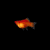 PLATY BALÓN ROJO