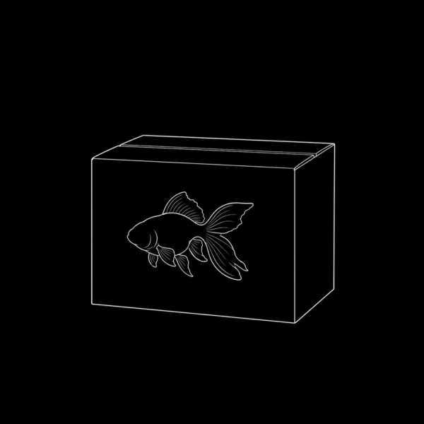 CAJA GOLDFISH INTERNACIÓN1 CAJA GOLDFISH INTERNACIÓN